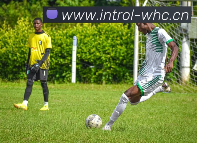 爱游戏最新官网 - 爱游戏(中国)服务体系